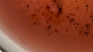 Gel ottenuto dai ciuffi delle fragole aromatizzato con Limone Nero Umami 